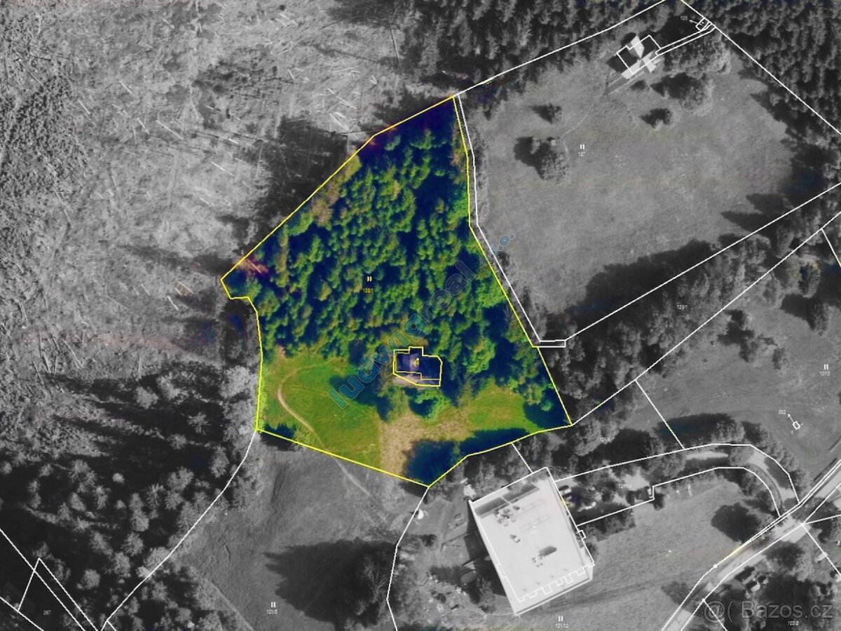 Prodej horské chalupy 258 m², poz. 11957 m², Dolní Malá Úpa - 20