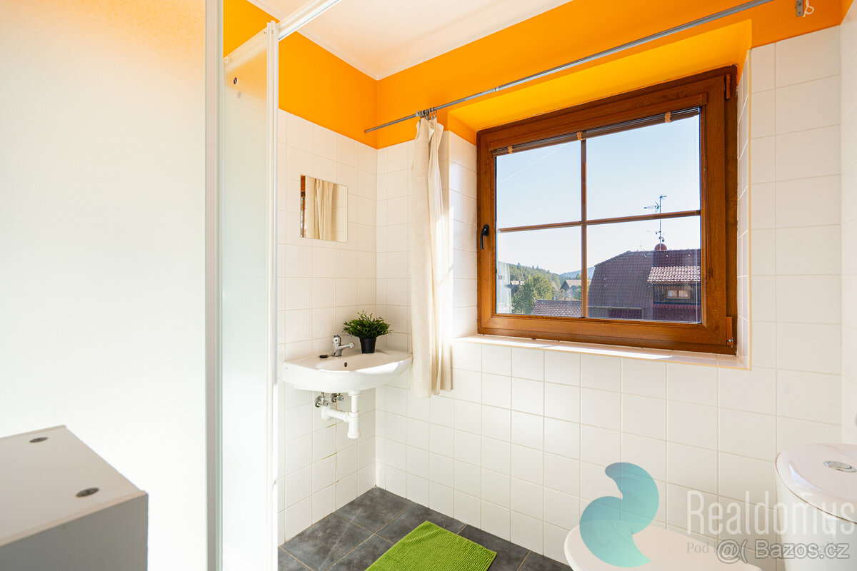 PRODEJ, APARTMÁN / Rodinný dům, Borová Lada - 20