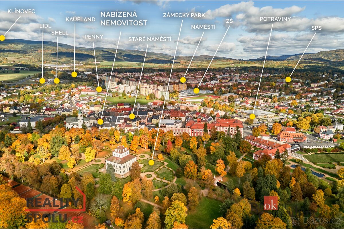 Prodej, domy/rodinný, 100 m2, Žižkova 1203, 36301 Ostrov, Ka - 20