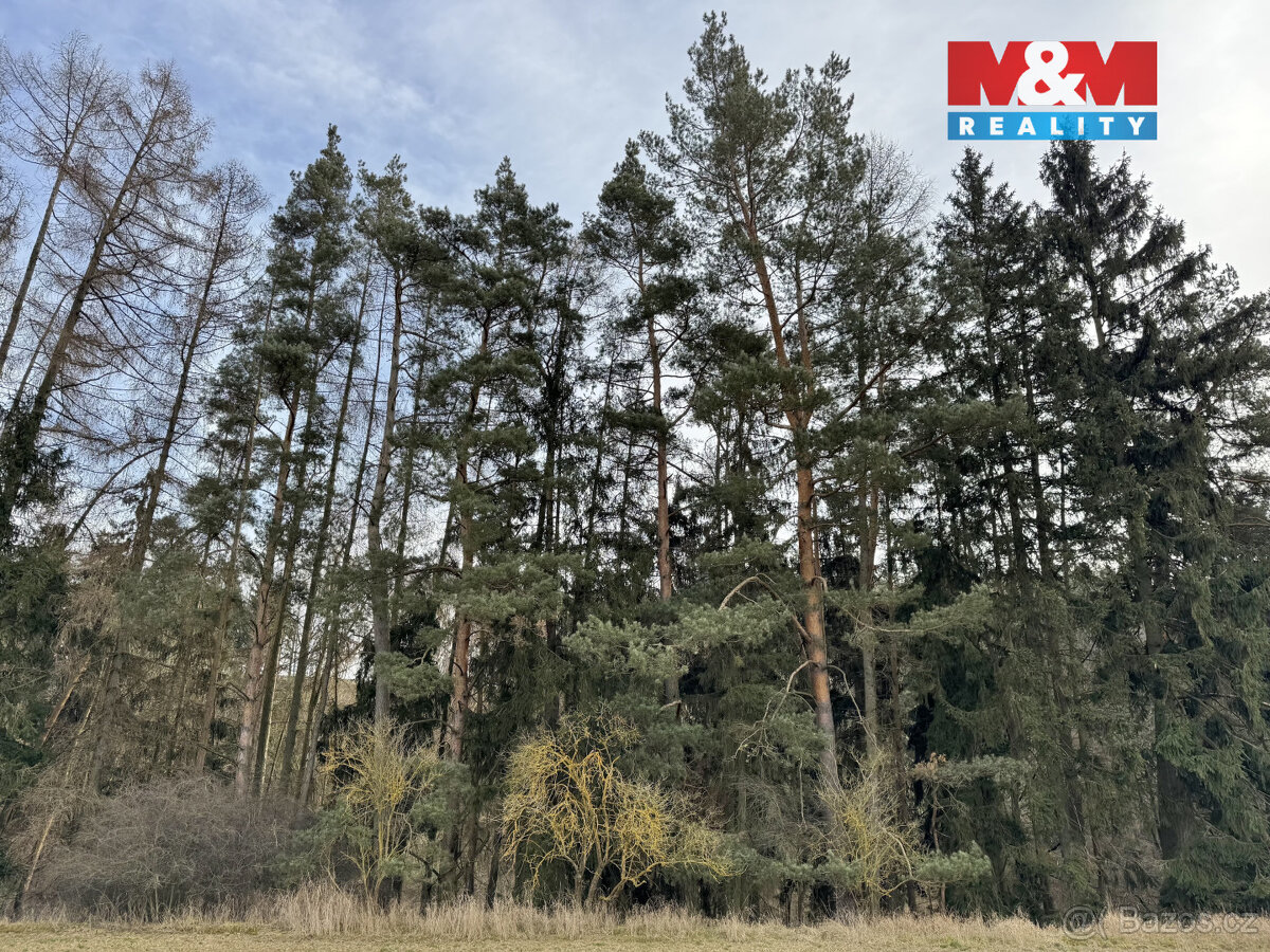 Prodej chalupy, 3642 m², Trhový Štěpánov, obec Dálkovice - 20