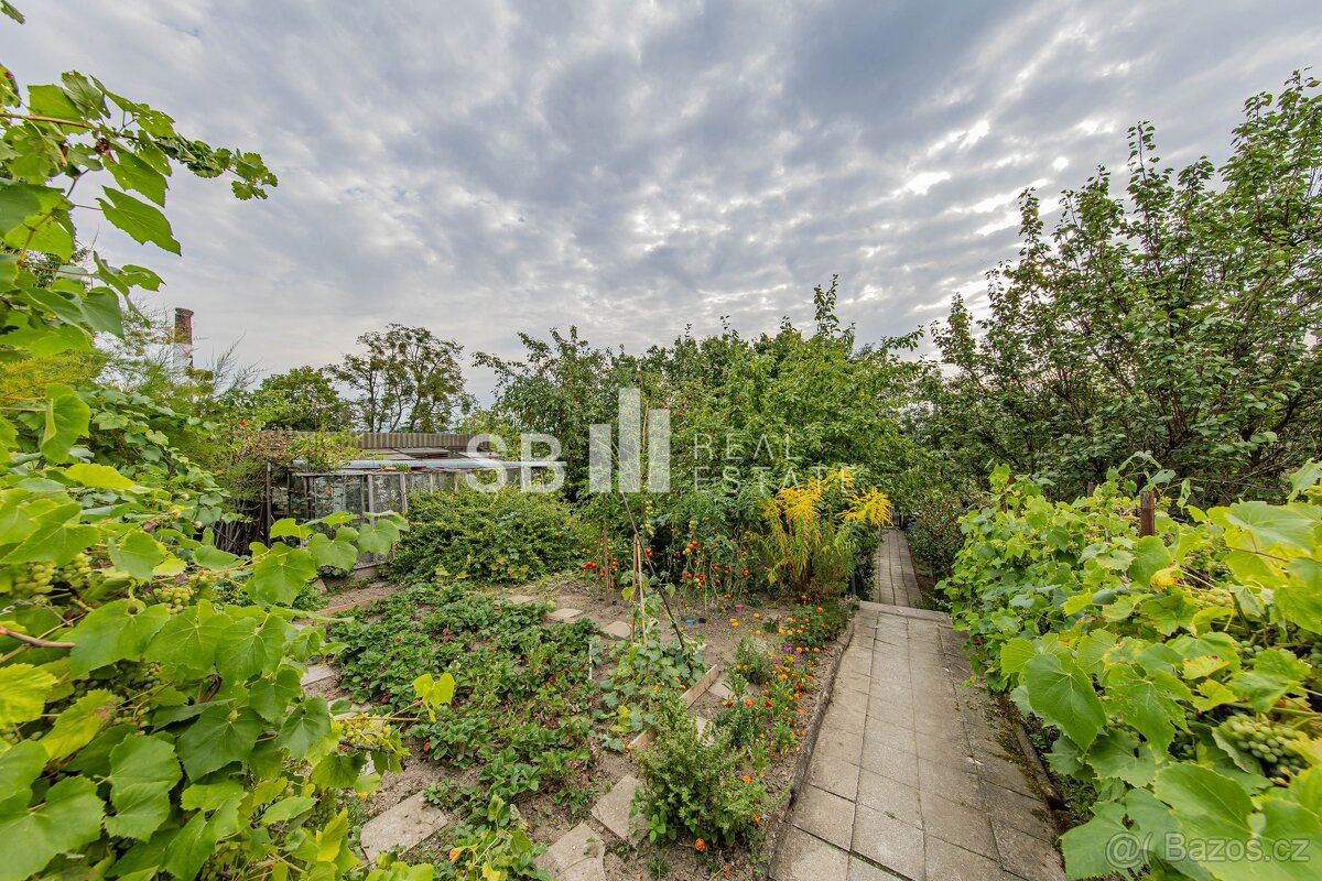 Prodej rodinného domu 3+1, 1.185 m², ul. Vejmoly, Loštice, o - 20