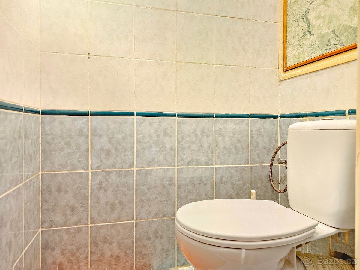 Prodej bytu 3+1, ul. Pod Břízami - 20