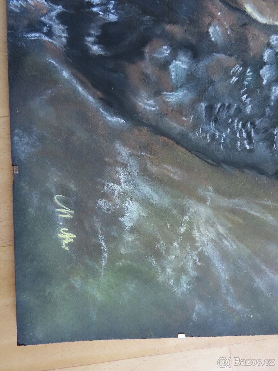 Srnčí parůžky - 20