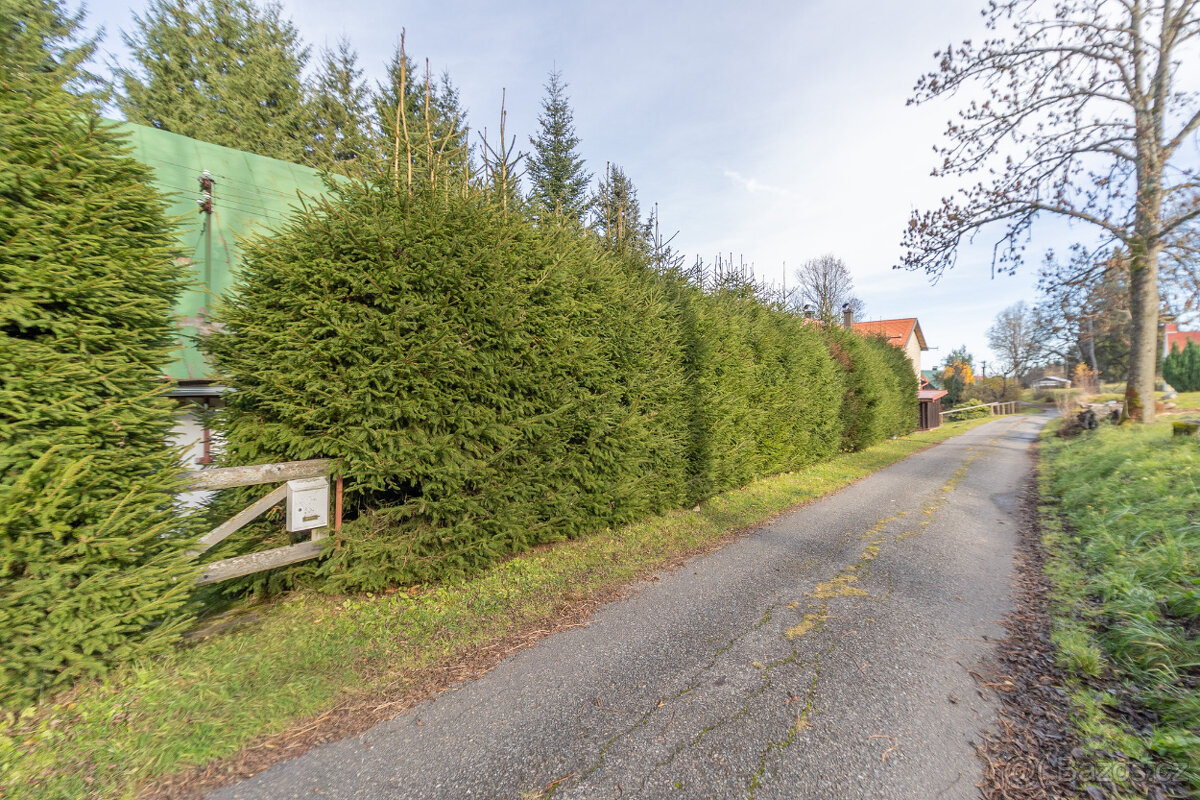 Prodej chalupy ve Studenci u Stach - Šumava - 20