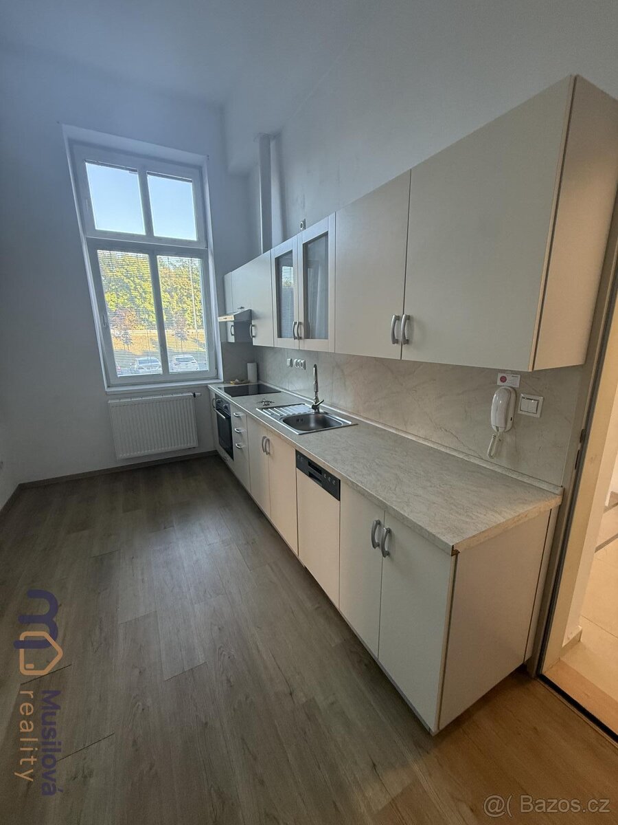 Pronájem bytu 2+1 58 m2 - 20
