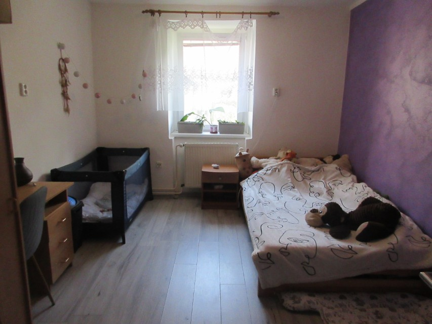 NA PRODEJ - RD SKÁLY U PROTIVÍNA (PÍSECKO) - 20