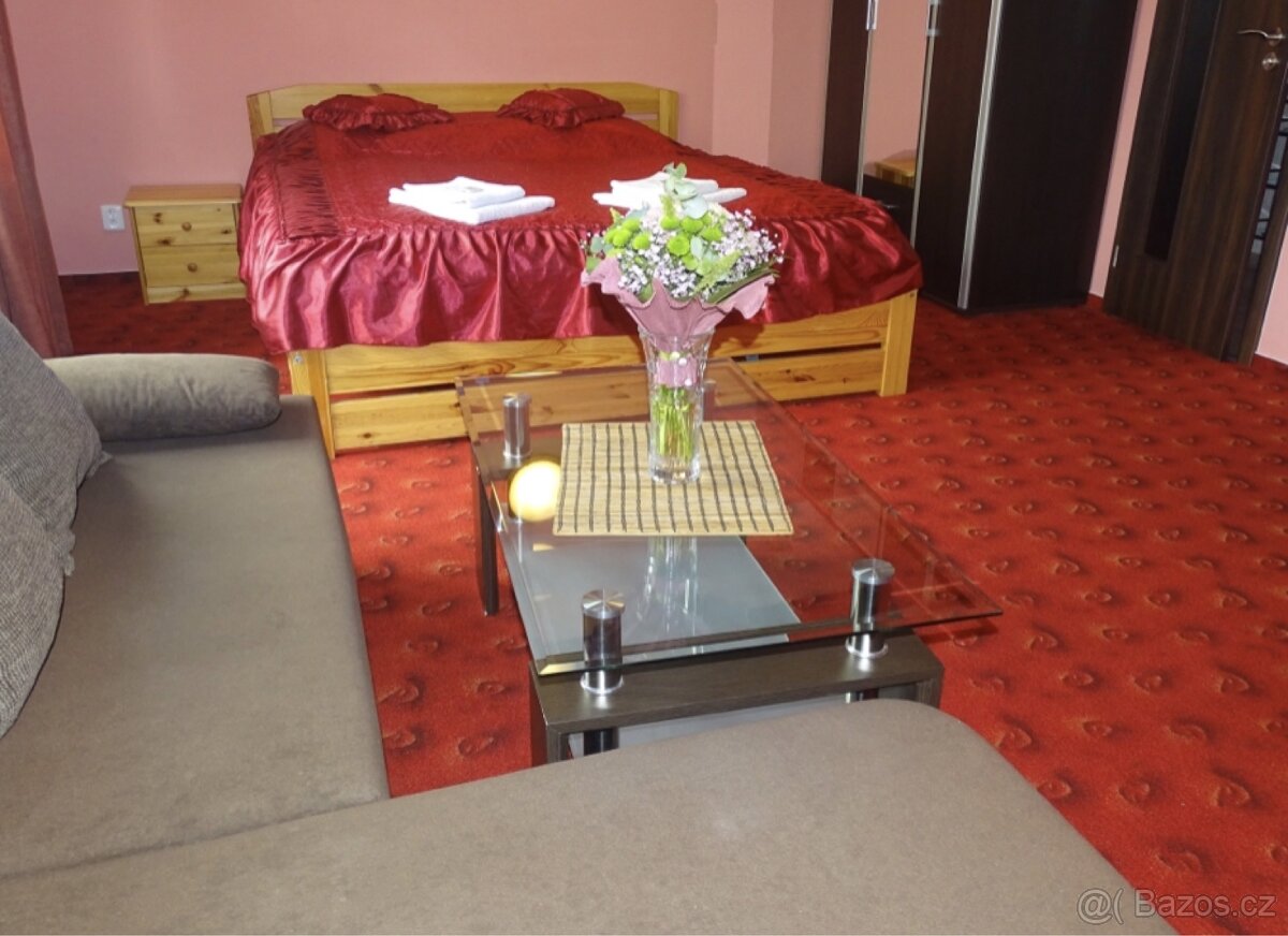 Prodej ubytovacího zatížení v Jihočeském kraji - 20