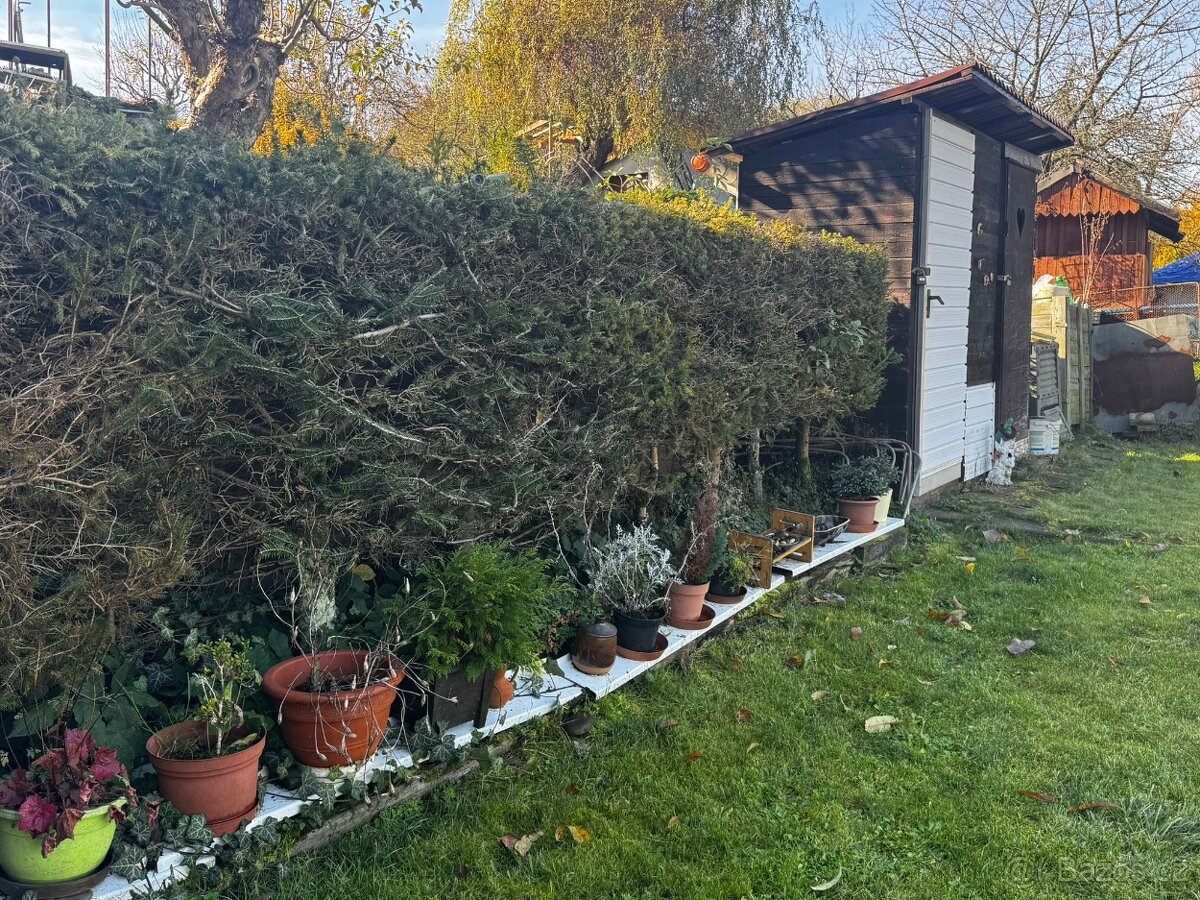 Prodej zahrady s chatkou 🌿 Přerov – lokalita pod nemocnicí - 20
