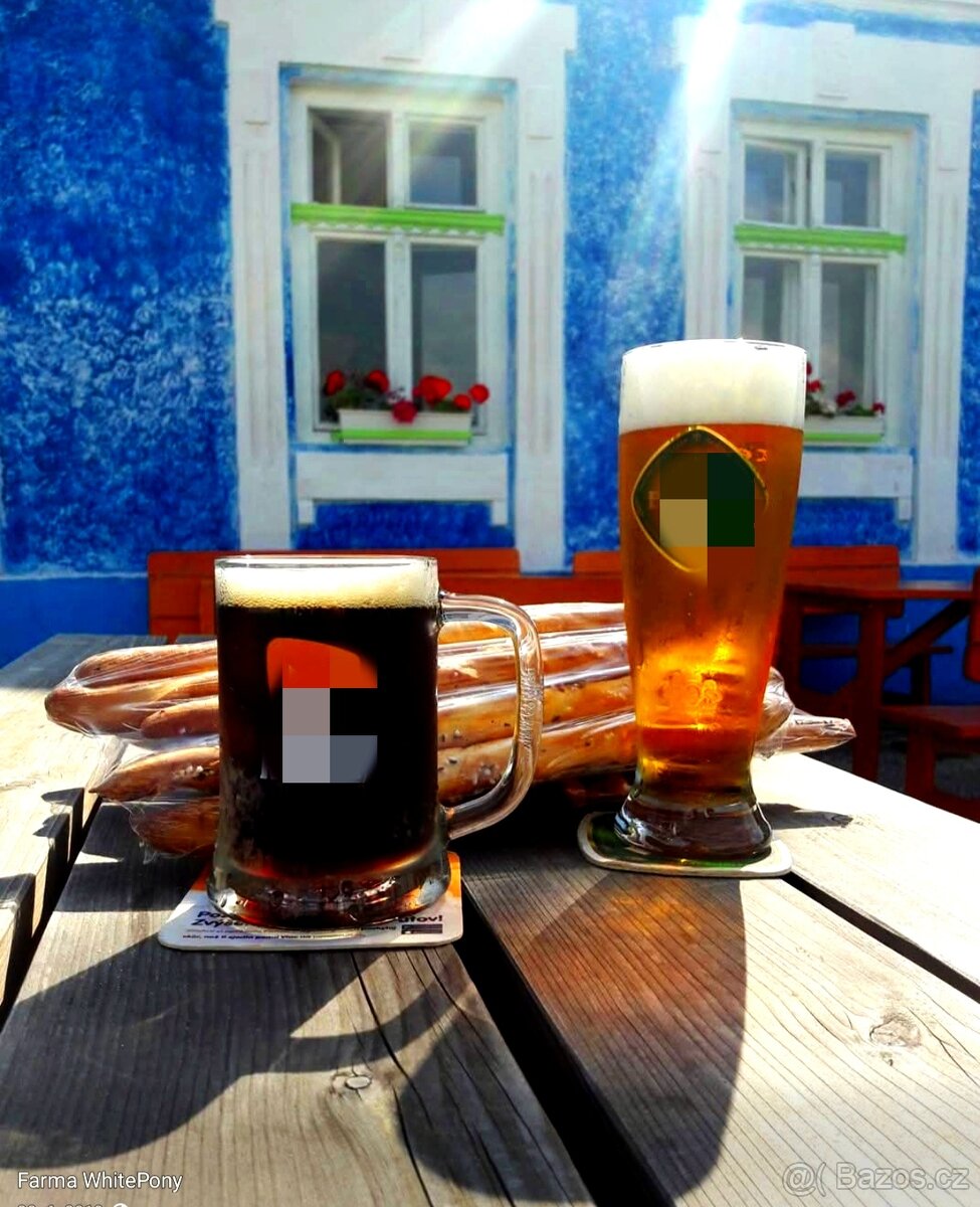 Výnimočná usadlost s dvomi domami - 20