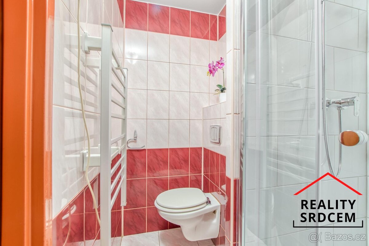 Pronájem bytu 2+1 s lodžií i balkonem, 60 m2, Žižkova, Karvi - 20