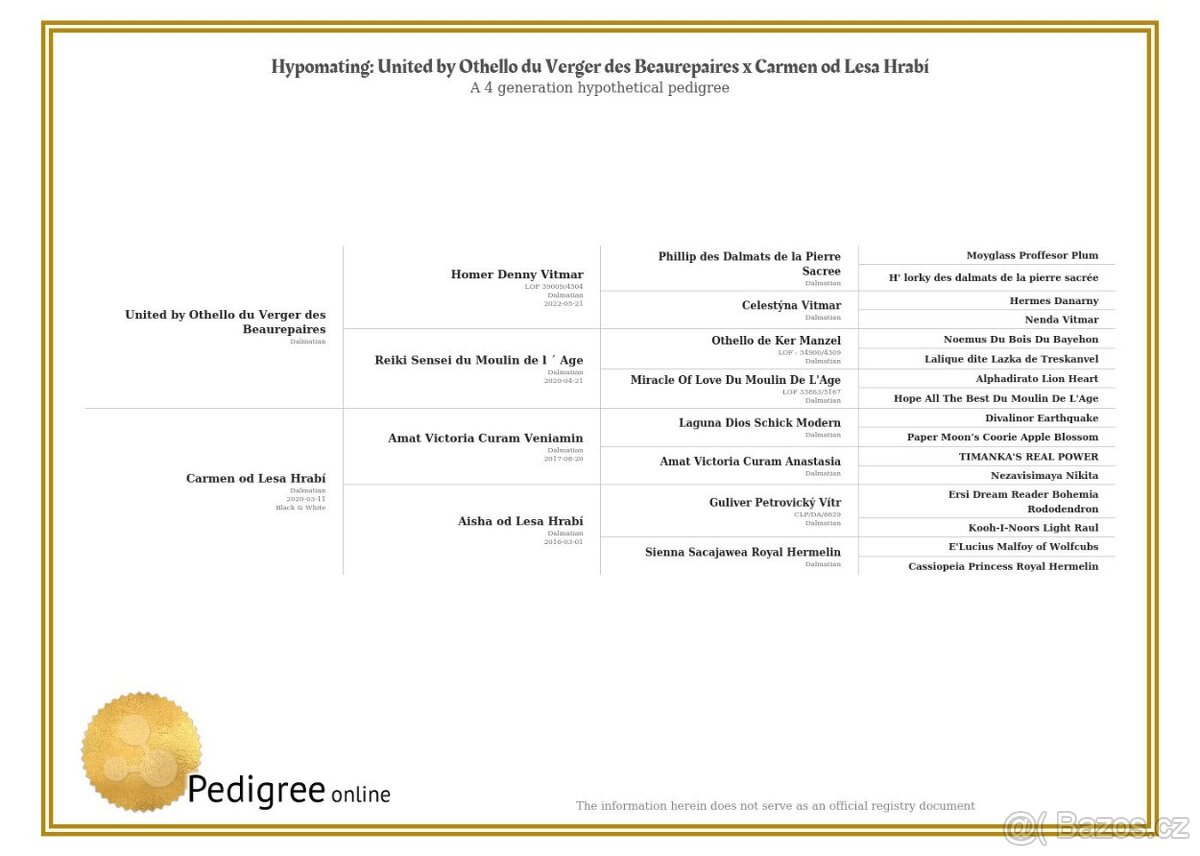Dalmatin štěně s PP - 20