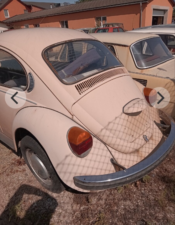 VW Brouk - 20