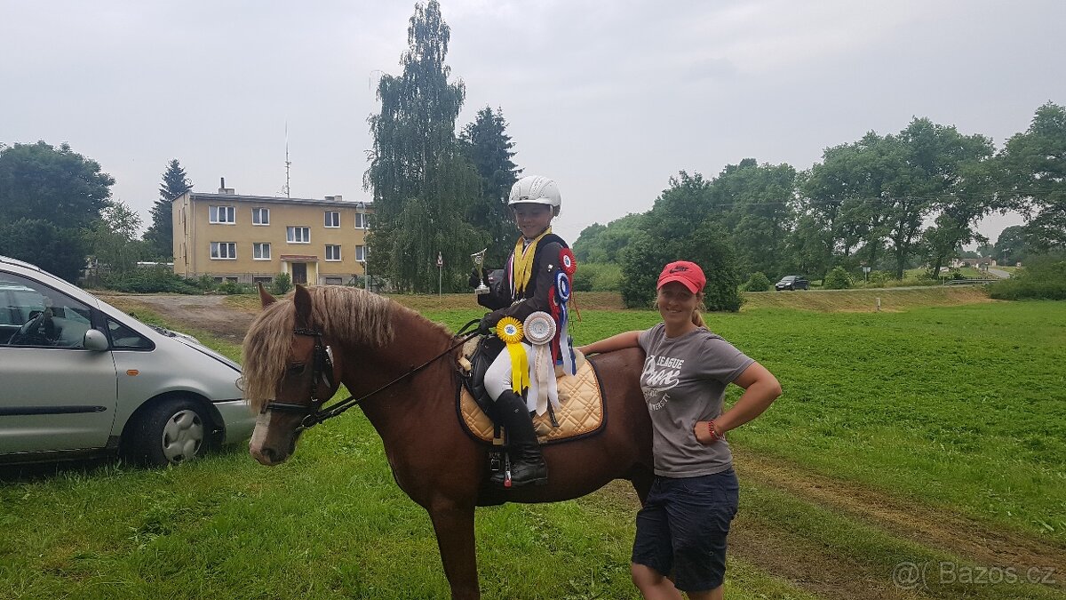 Prodej velmi hodného vychovaného pony poníka kategorie B - 20