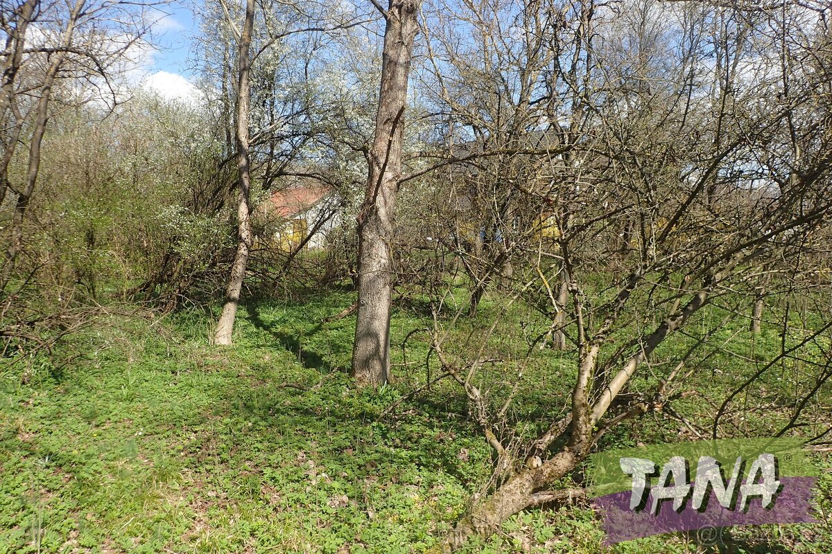 Na prodej zemědělská usedlost, 5490 m2 - Kobyly - Havlovice - 20