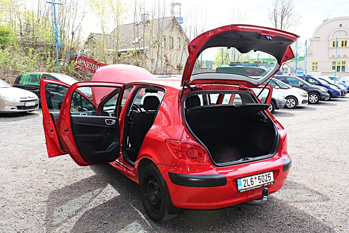 Peugeot 307 - 20