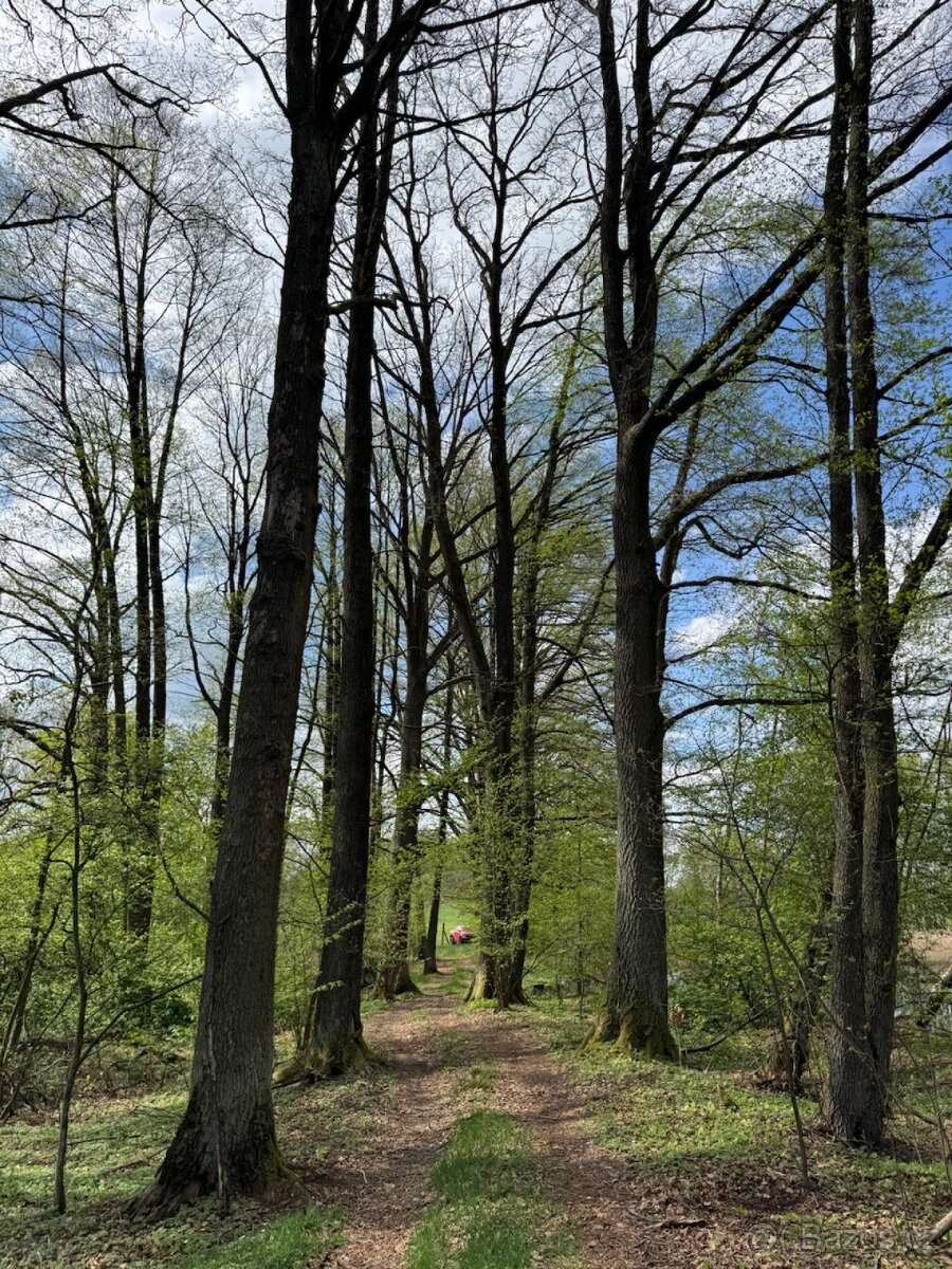 Prodám pozemky v katastrálním území Mníšek - 20