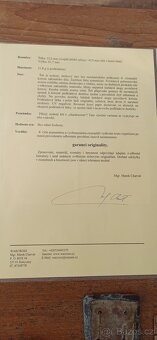 Vzácné medaile, vyznamenání Německo. - 20