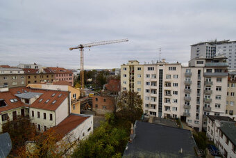 Pronájem bytu 1+kk, Veveří, Veveří, 46 m2 - 20