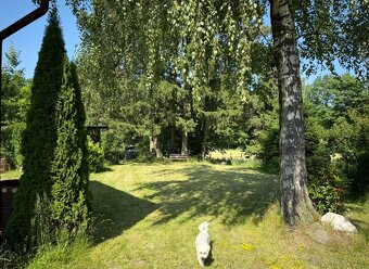 Chalupa na prodej - 20