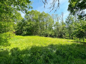 Rodinný dům 5+1, pozemek 4 779 m² – Jindřichova Hora - 20