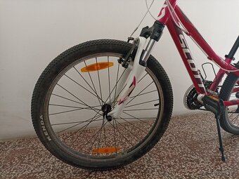 SCOTT 16 CONTESSA JR 24 - 20