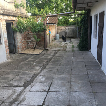 Prodej RD se zahradou, Hrušovany nad Jevišovkou, okres Znojm - 20