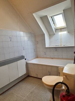 Prodej RD s velkou zahradou, Horní Studenec. - 20