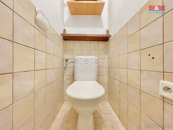 Prodej rodinného domu, 210 m², Tatenice - 20