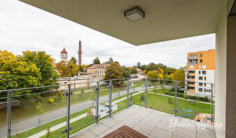 Pronájem bytu 4+kk, Hrašeho, Čimice, 117 m2 - 20
