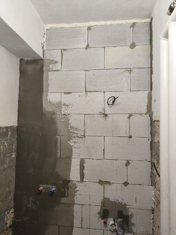 Dobrý den,Nabízím zednické, malířské práce a bourací práce. - 20