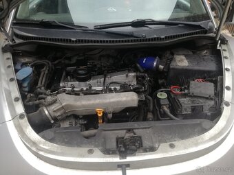 new beetle ND 98-2005 - 20