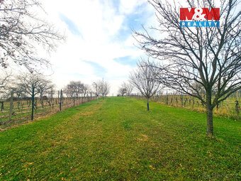 Prodej ovocného sadu, 4096 m², Starý Poddvorov - 20