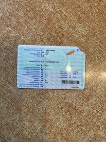 Opel Commodore  2.5 S  6 válec  1979  Super cena  - 20