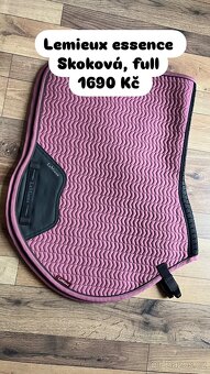 Spousta nových věcí na koně - 20