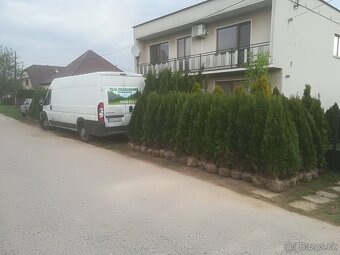 Tuja Smaragd, vavrínovec, červienka - Hodonin - 20