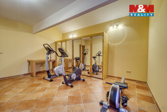 Prodej rodinného domu, 392 m², Františkovy Lázně - 20