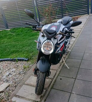 MV AGUSTA BRUTALE 800RR - 20