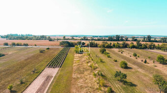 Prodej rodinného domu 196m² v obci Lužice v okrese Hodonín - 20