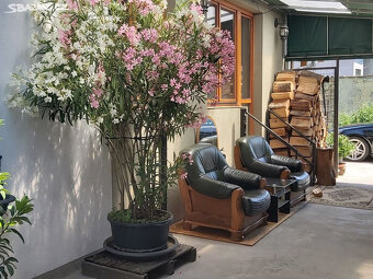 Olomouc Lidická 22 Nemilany centrum. 580m2. - 20