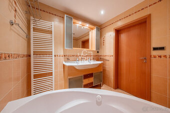 Prostorný střešní byt 3+1 s terasou - 90m2 + 30m2 terasa, Pr - 20