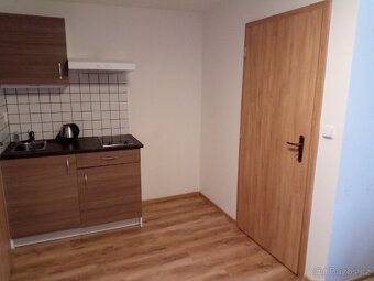 Pronajmu apartmány v Harrachově - 20
