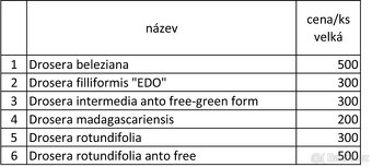 Masožravé rostliny - 2025 - 20