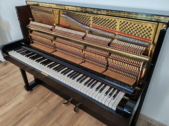Steinway and Sons. Prestížny klavír najvyššej kvality. - 20