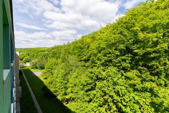 Prodej bytu 4+1 s lodžií a garáží, ul. Luční, Litvínov - Jan - 20