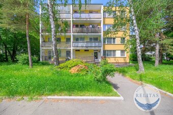 Pronájem bytu 3+kk 65 m² - 20