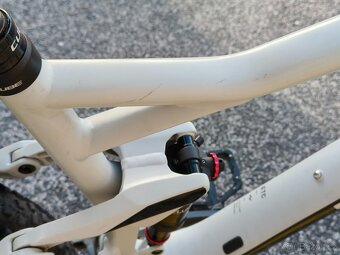 Cube Stereo 29" 120 Race L 2021 - 20