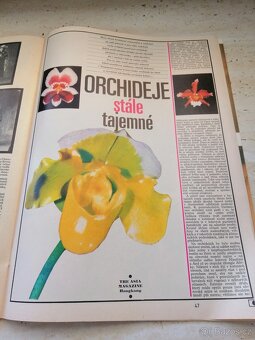 Časopis 100 +1 - 20