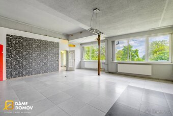 Pronájem ostatní komerční nemovitosti, 388 m2 - Medlovice - 20