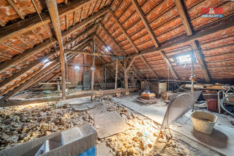 Prodej rodinného domu 391 m2, v Dnešicích - 20
