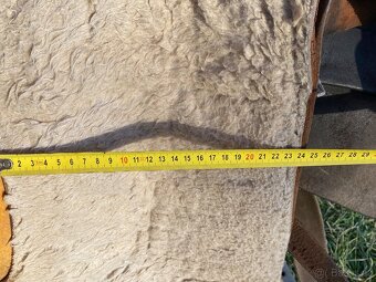 Westernové sedlo americké , nutná oprava - 20